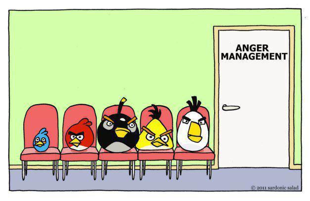 Angry birds at anger management